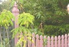 Katoombaplant-nursery-6.jpg; ?>